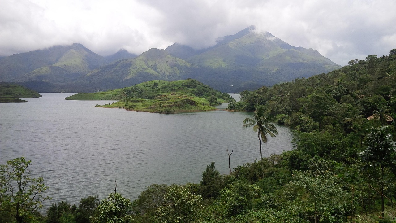 Wayanad Forest Trails